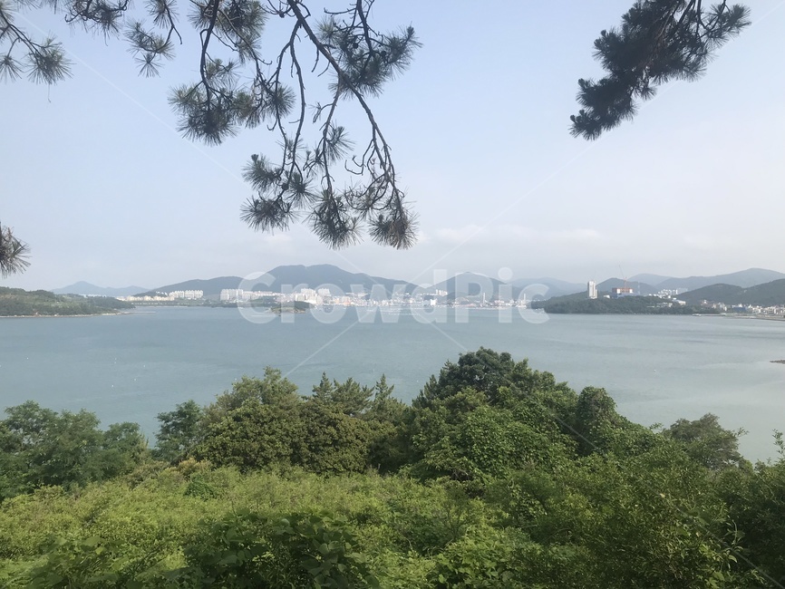 섬,나무,바다,자연,풍경