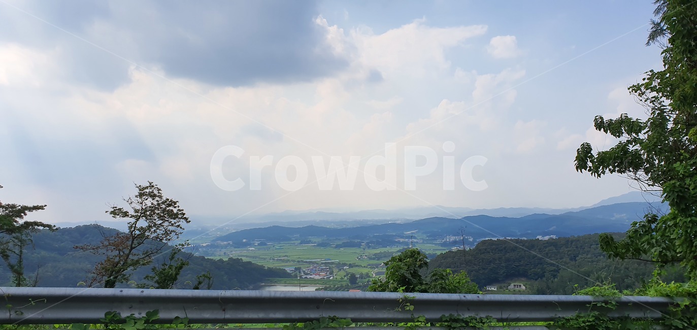 나무,구름,하늘,tree,plant,식물,초록색,자연,풍경,nature,landscape