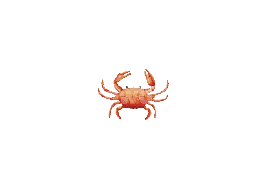 일러스트,꽃게,꽃게일러스트,해산물일러스트,해산물