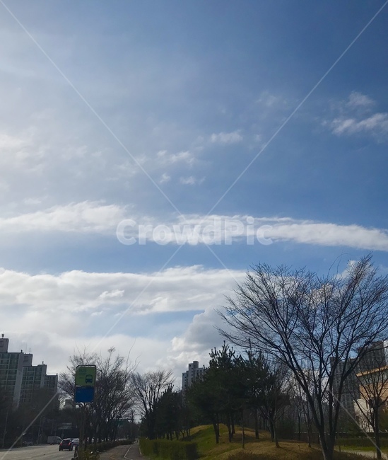 하늘,맑음,구름,상쾌,밝은