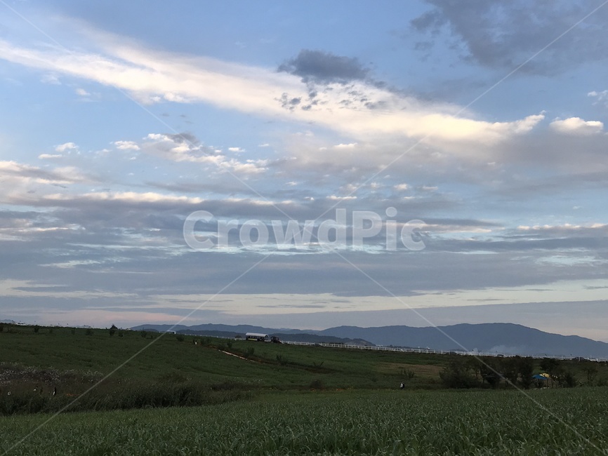 nature,grassland,목초지,자연,옥외,field,들,outdoors,평택,안성,자연,풍경,nature,landscape