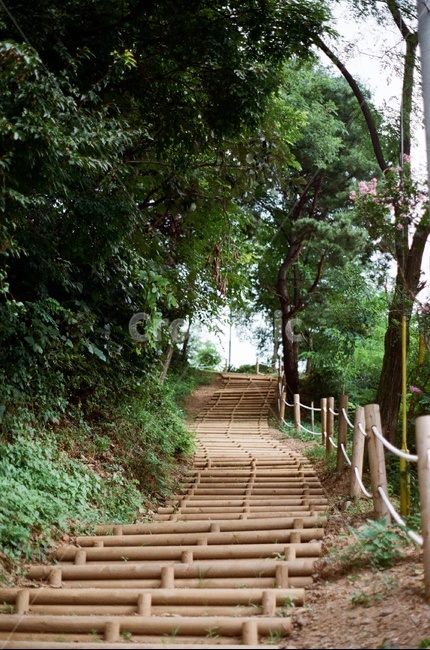 park,korea,chungju,공원,대한민국,한국,충주,garden,정원,outdoors,옥외,arbour,정자,길,등산,mountainclimbing,road,자연,풍경,nature,landscape