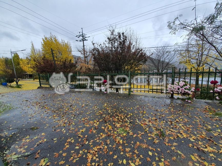 가을길,골목,늦가을,가을,비온뒤,비개인뒤,낙엽,단풍