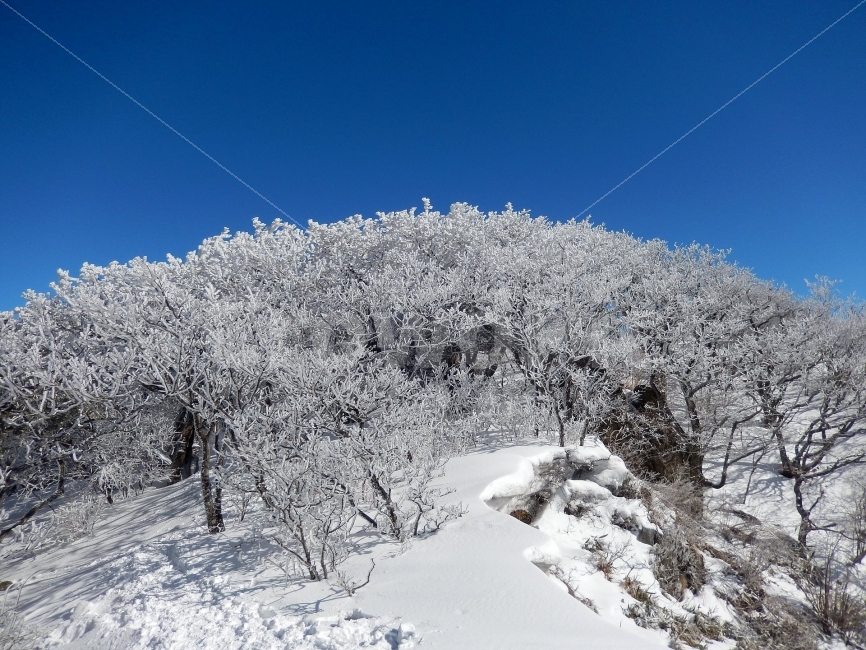 소백산,눈꽃풍경,상고대,겨울풍경,국립공원,겨울동화,힐링,감성,아름다움,뷰티풀,설국,눈풍경,파란하늘,100대명산,겨울명산,설경,서리꽃,영동,snow,landscape,눈,화이트,자연,신비로운,경이로운,천상,비경,치유,산,명산,겨울,계절,winter,season,자연,풍경,nature,landscape,한국자연풍경,한국자연경관,korea nature landscape,outdoors,옥외,ice,얼음