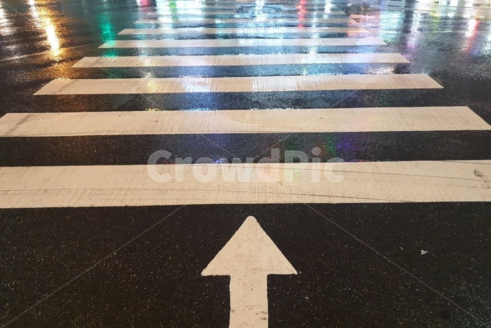 화살표,비,도로,아스팔트,가르키다,걷기,감성,방향,이정표,길,안내,횡단보도,비,비오는날,rain,rainy