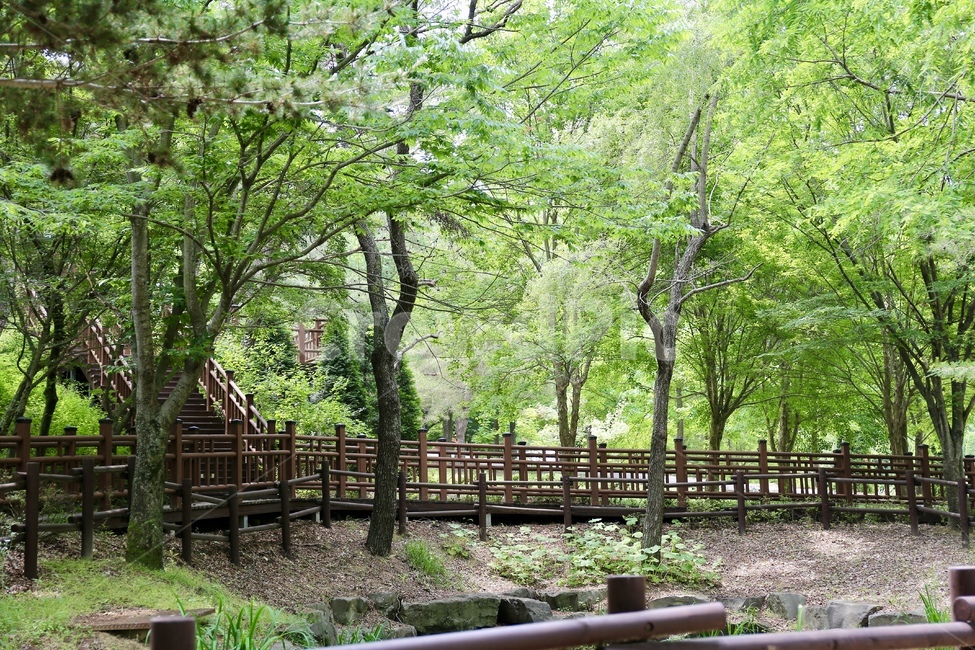 수목원,식물원,산책,숲,숲길,산책길