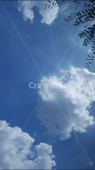 하늘,나뭇잎,여름,구름,여름하늘,자연,풍경,nature,landscape,outdoors,옥외,sky,weather,날씨