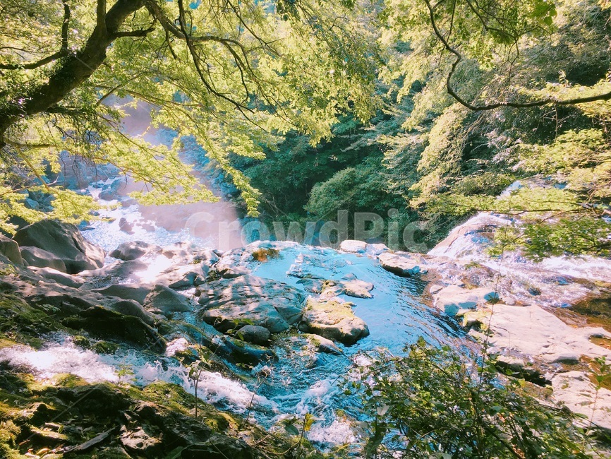 제주,제주도,맑음,자연,jeju,jejuisland,nature