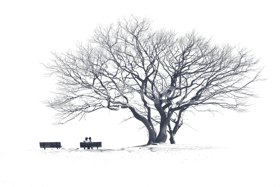 언덕위나무,겨울풍경,팽나무,언덕,휴식,식물,자연,plants,nature,나무,trees,wood,사람,인물,인간,human,person,흑백,모노톤,monochrome,black and white