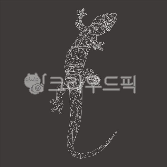 geometric pattern,chameleon,Lizard,snake,reptile,salamander,frog,Constellation,Gaeko,geometry,lizard