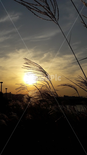 하늘,노을,가을,붉은,구름,가을,계절,fall,autumn,season,light,빛,flare,플레어,sunlight,햇빛,nature,자연