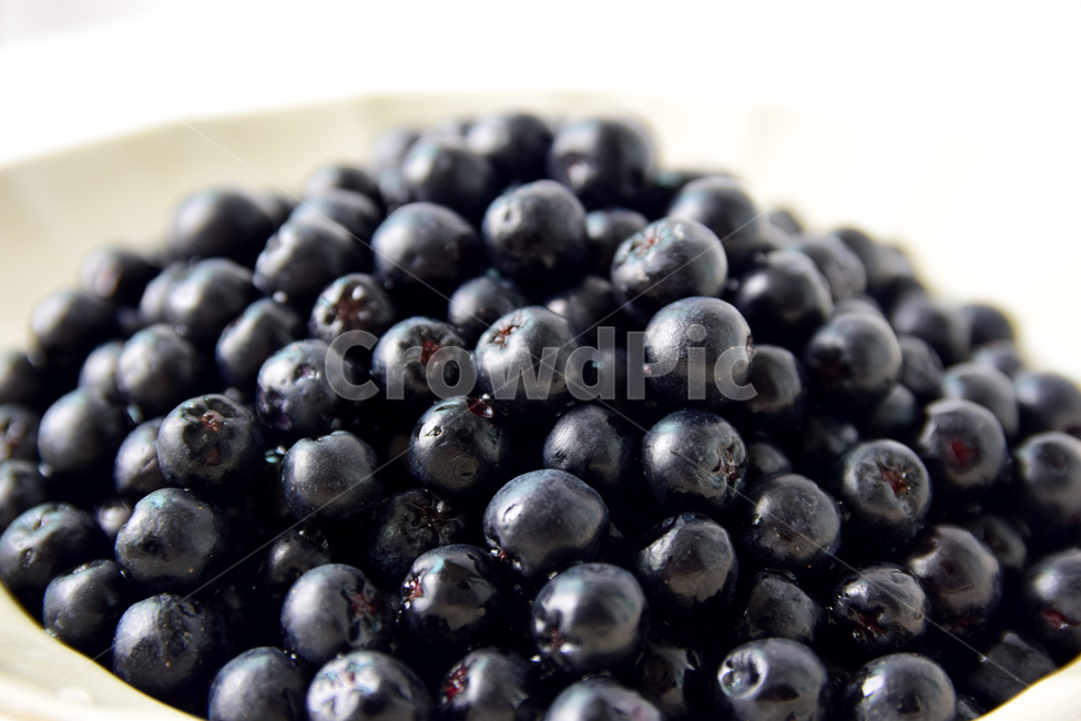 아로니아,아로니아베리,베리류,음식,식재료,과일,열매,베리,아로니아열매,접시,aronia,aroniaberry,plate,fruit,berry,food,과일,열매,fruit