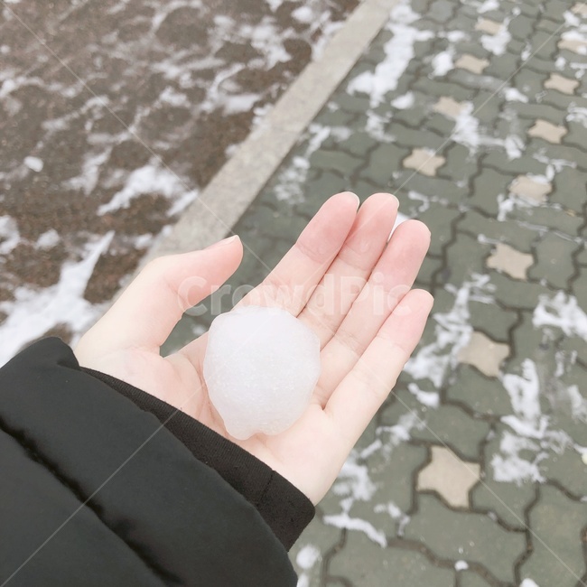 손,눈,눈덩이,겨울,순수