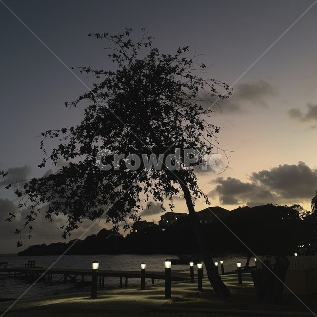 실루엣,silhouette,nature,자연,outdoors,옥외,나무,노을,하늘,sky,sunset,tree