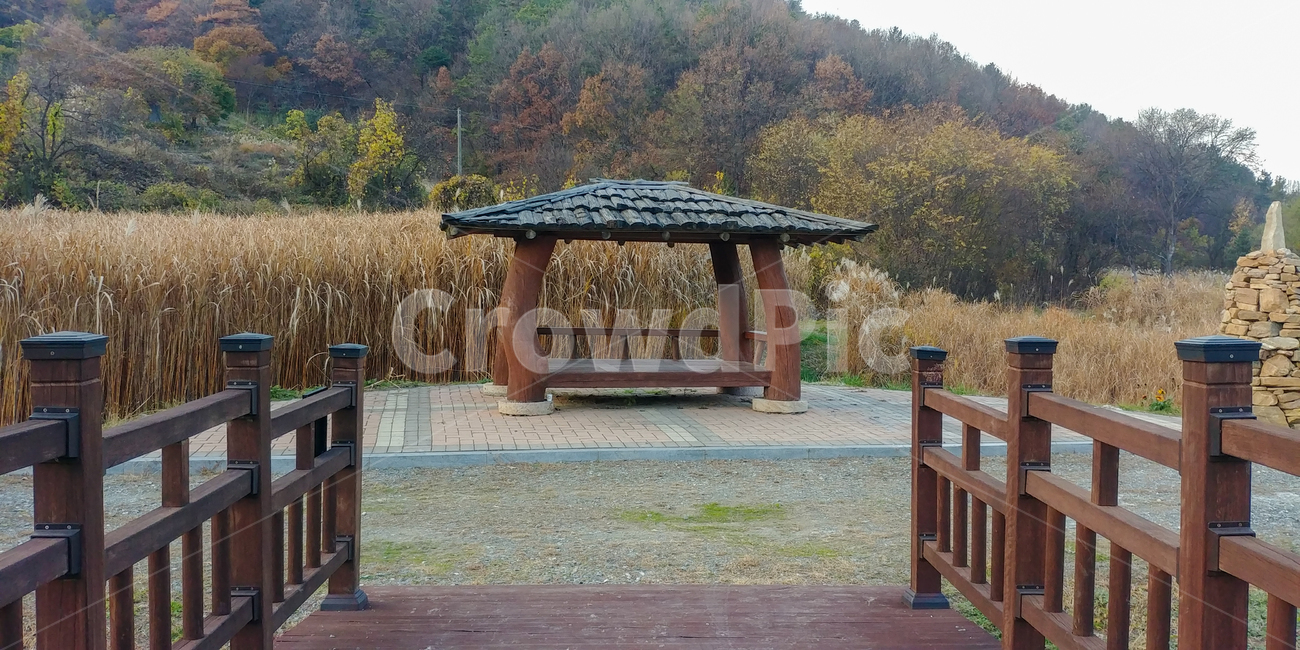공원,시골,자연,갈대,쉼터,가을,분위기,빈티지,자연환경,녹초지,산