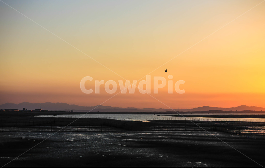 갈매기,일몰,갯벌,서해,노을,자연,풍경,nature,landscape,outdoors,옥외,sky,하늘,dusk,황혼,sunset,red sky,붉은 하늘,dawn,새벽