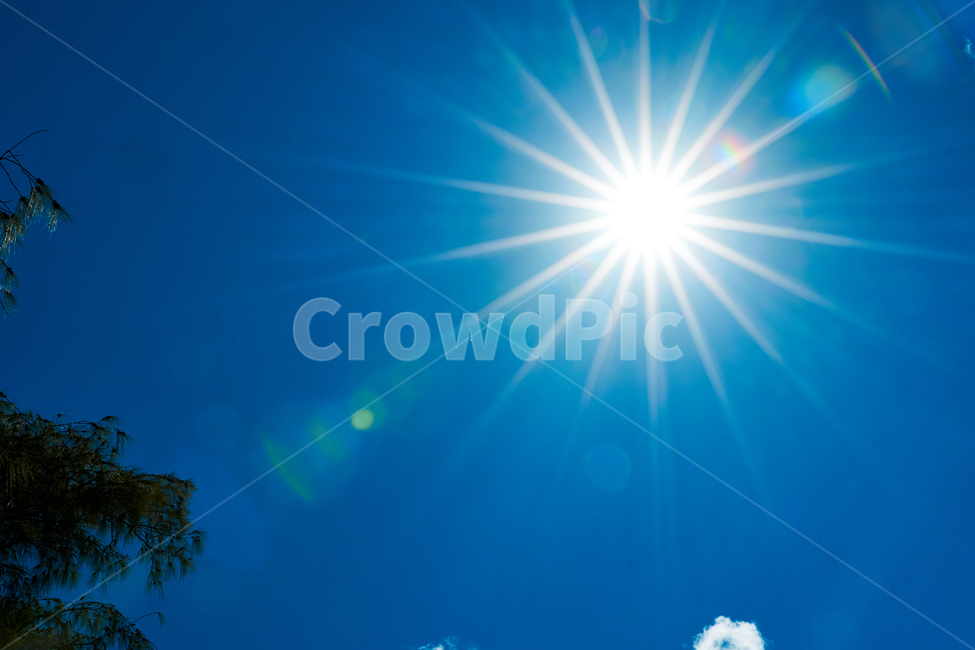 sunlight,햇빛,nature,자연,outdoors,하늘,sky,빛갈라짐