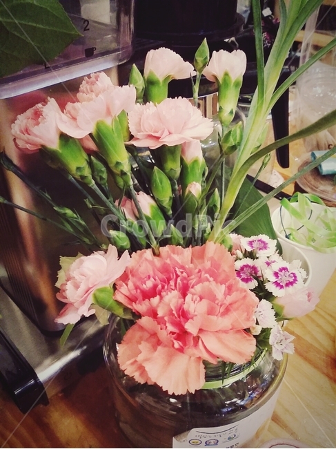 카네이션,꽃,어버이날,스승의날,감사합니다