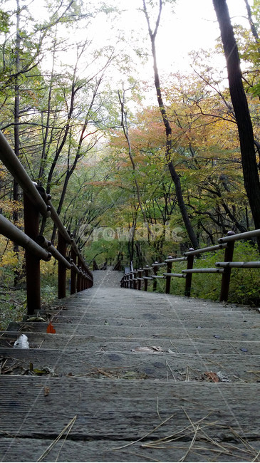 광덕산,가을,산악,등산,풍경