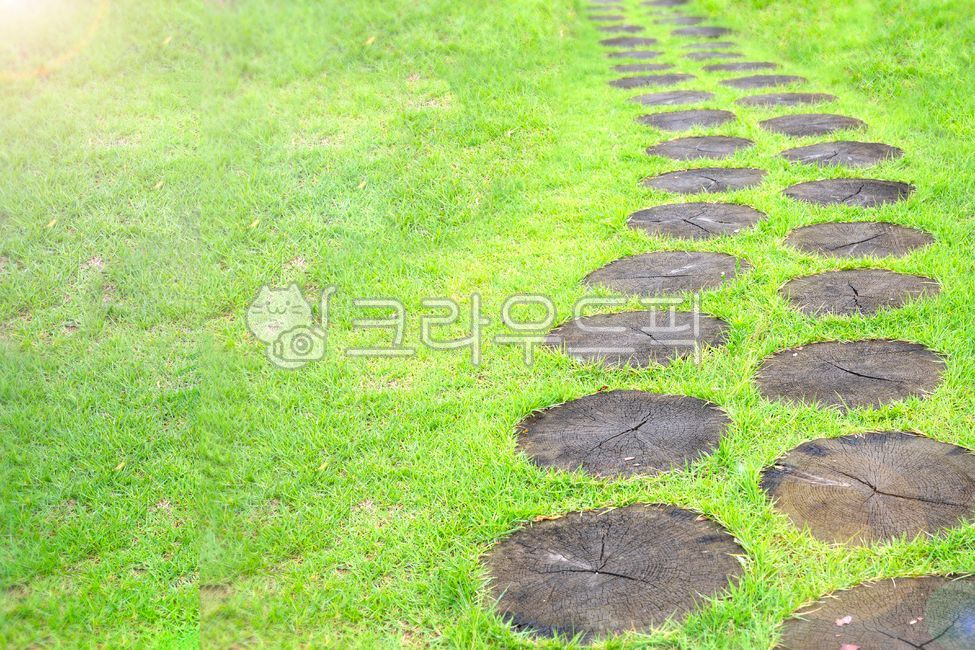 sidewalk,green,nature,texture,pedestrian path,Out,rock,outdoor,trail,road,grass,background,plant,garden,park,Route
