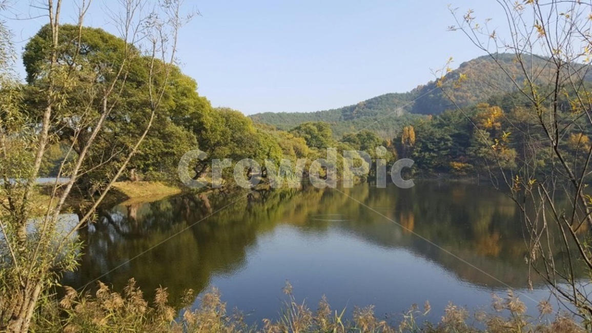 물,저수지,풍경,자연,나무,식물,자연,풍경,nature,landscape