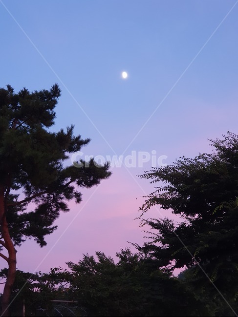 몽환작인,달,하늘,풍경,아름다운,저녁하늘,자연,moon