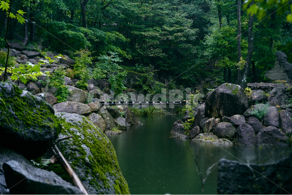 물,돌,나무,다리,풍경,water,nature,자연,호수,비,비오는날,삼성궁,자연,풍경,nature,landscape,outdoors,옥외