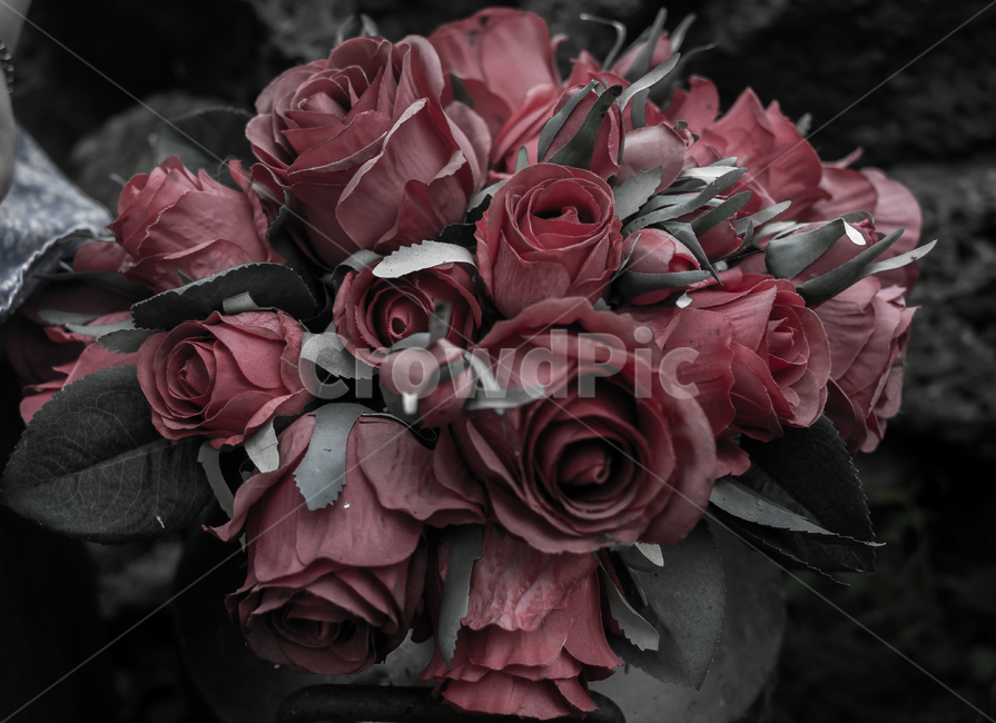 plant,식물,flowerarrangement,꽃꽂이,flowerbouquet,꽃부케,flower,꽃,장미,rose