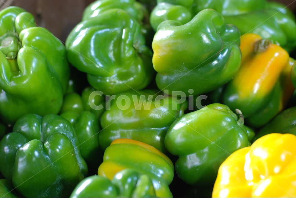 피망,파프리카,그린파프리카,채소,야채,greenpepper,pepper,paprika,veg,vegetable,음식,food,health,채소,야채,vegetables