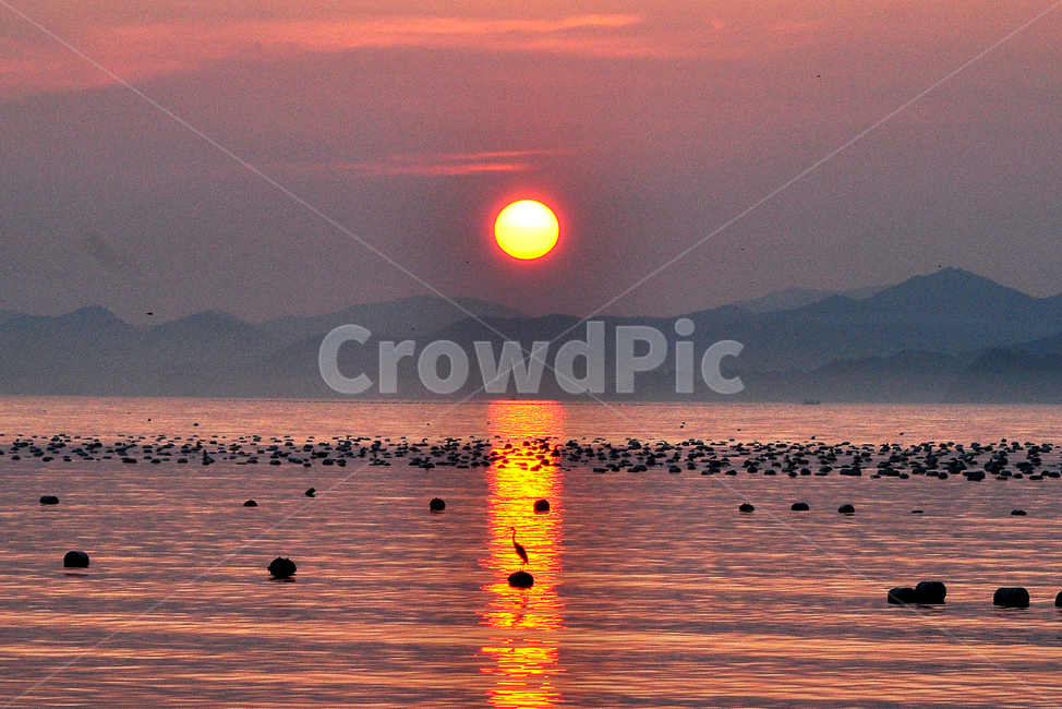 일출,일몰,새해,바다,태양,섬,소망,자연,풍경,nature,landscape,한국자연풍경,한국자연경관,korea nature landscape,outdoors,옥외,red sky,붉은 하늘,dawn,새벽,dusk,황혼,sunset,sky,하늘