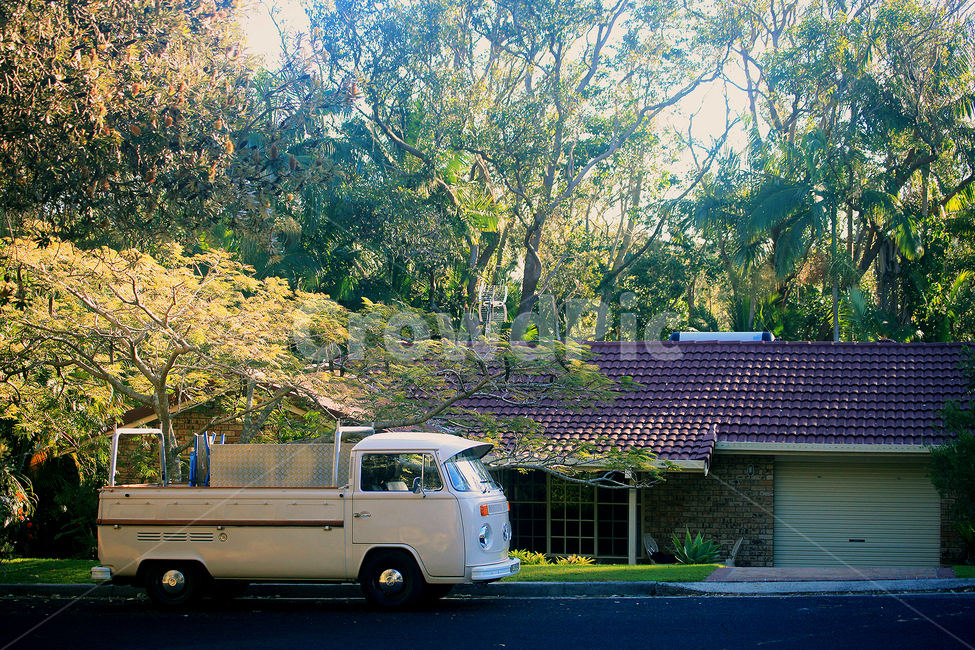 자동차,숲,나무,주택,햇살,시골,외국감성,초록,가을,가을햇살,vehicle,sunshine,green,house
