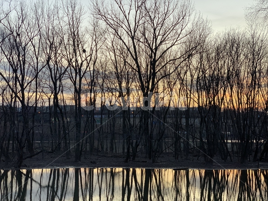 자연,outdoors,물,water,옥외,강,풍경