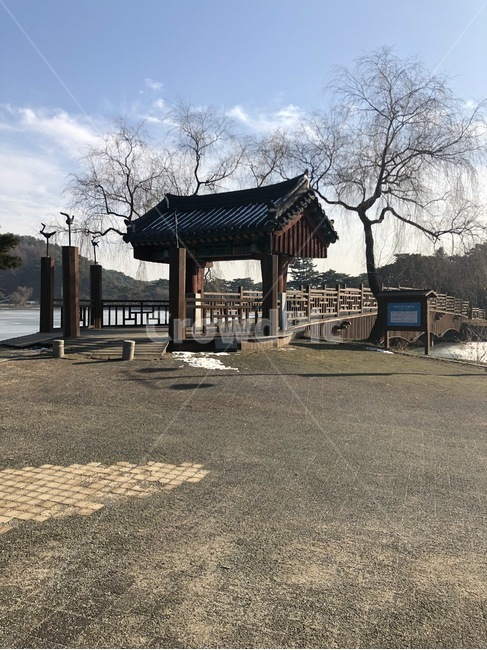 자연,풍경,나무,하늘,구름