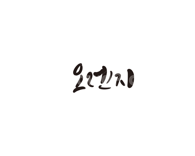 캘리,과일,fruit,오렌지,캘리그라피,손글씨,그래픽,일러스트레이션,graphic,illustration,캘리그라피,손글씨,calligraphy