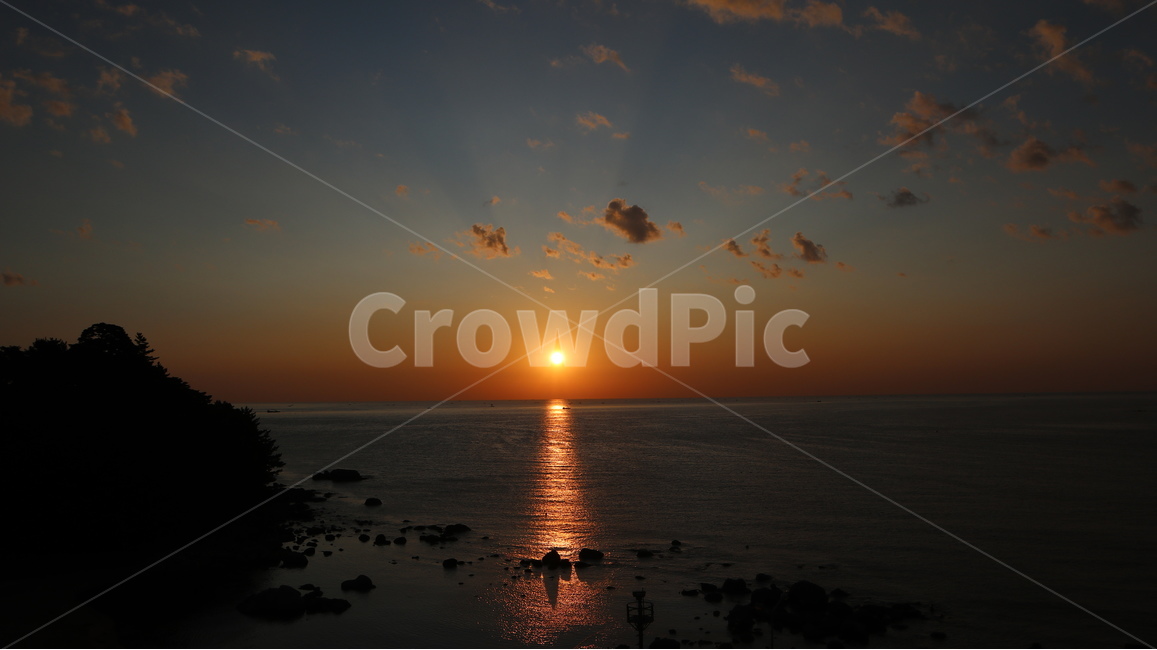 light,플레어,햇빛,sunlight,flare,옥외,자연,nature,outdoors,빛,자연,풍경,nature,landscape