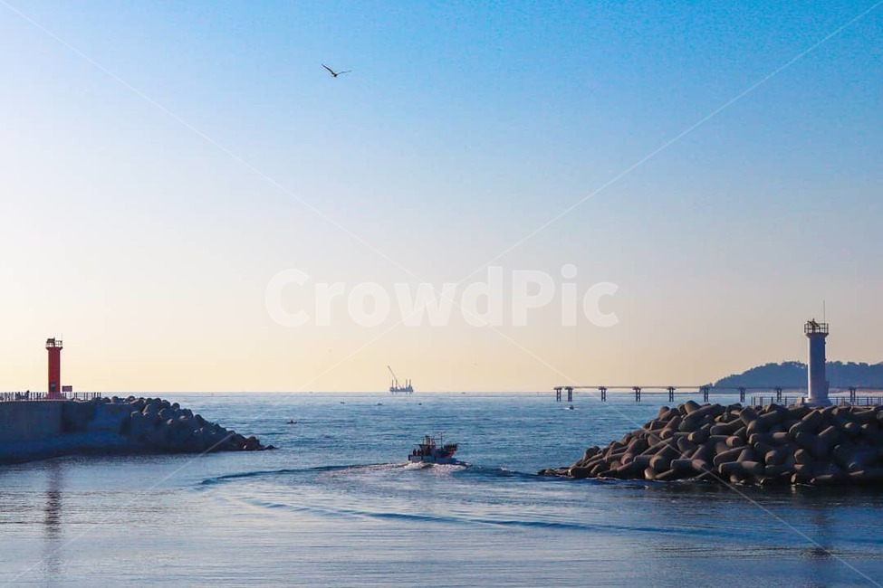 등대,배,방파제,푸른바다,바다,등대,lighthouse,adventure,모험,water,물,bird,새,animal,동물