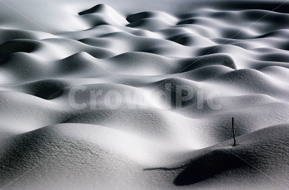 겨울,사막,눈꽃,눈,12월,1월,화성,설경,겨울,계절,winter,season,텍스처,질감,패턴,texture,pattern,흑백,모노톤,monochrome,black and white