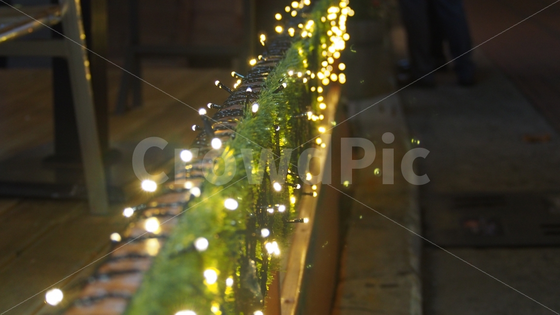 조명,장식,반짝,느낌,감성,전구,야경,밤,풍경,nightscape,night,landscape,감성,sensible,feeling,tree,나무,ornament,christmas tree,크리스마스 트리,plant,식물