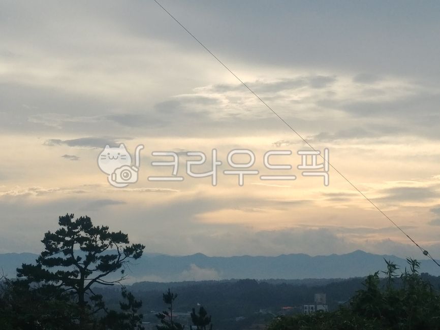 sky,a tree,red sky,sunset,evening sky