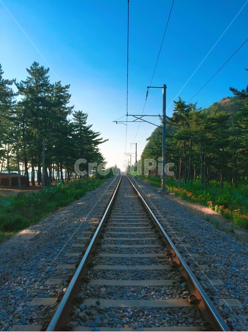 철도,바다,기차,겨울,동해,자연,풍경,nature,landscape,교통,교통수단,traffic,transportation,rail,레일,train track,기찻길,railway,gravel,자갈,dirt road,흙길,road,도로