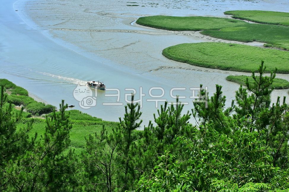 cruise ship,natural heritage,Ramsar Convention registration,Suncheon Bay Wetland,Scenic Spot No 41,ocean,nature,UNESCO World Heritage Site,tree,foreshore,reed field