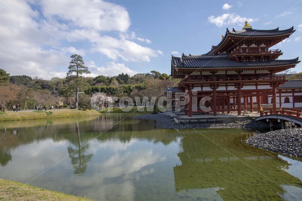 architecture,건축물,building,건물,뵤도인,pond,연못,물,water