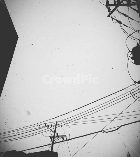 흩날리는눈,눈,눈오는날,하늘에눈,snow,winter,겨울,눈이오는하늘,겨울,계절,winter,season,흑백,모노톤,monochrome,black and white