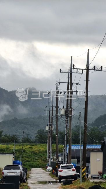 길,전봇대,전신주,시골길,자동차,안개,시골,농춘,농로