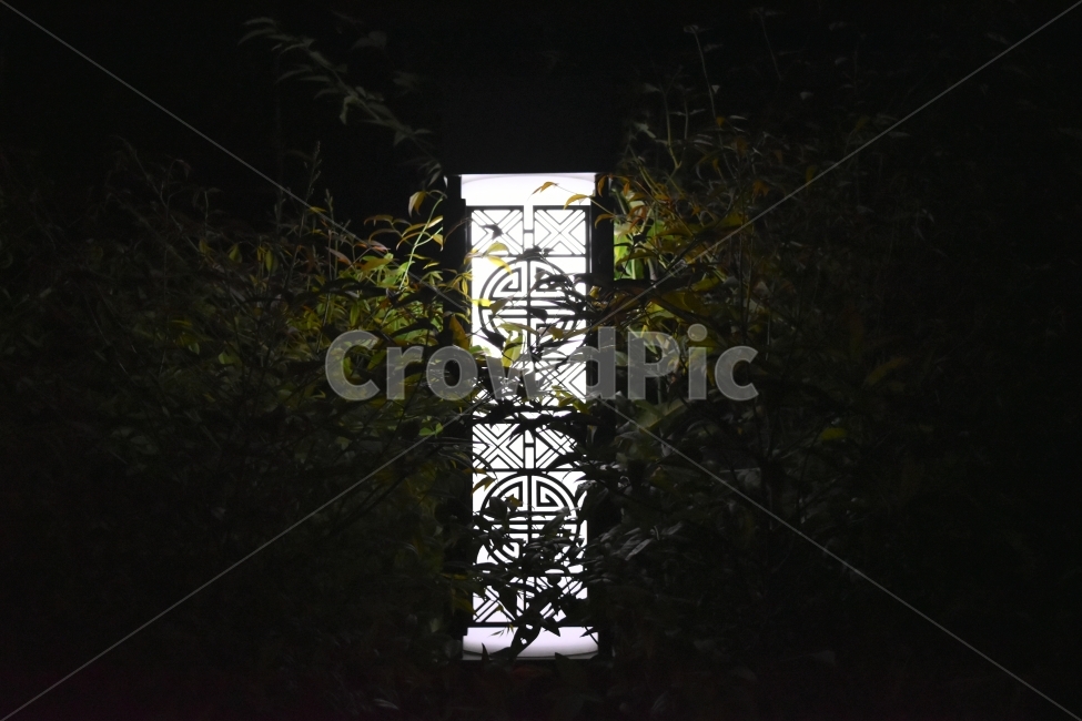 가로등,불빛,새벽,감성사진,전통문양,밤거리,마당,조경,나무가지,나무,나무등,밤빛,야경,밤,풍경,nightscape,night,landscape,window,창문