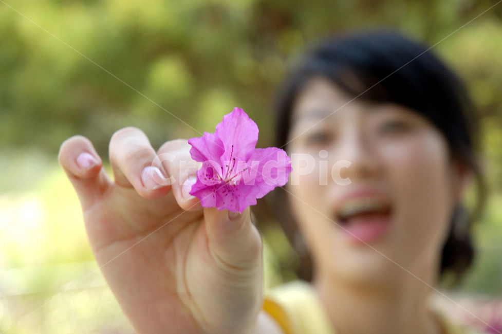 꽃,봄,소풍,미소,설렘,철쭉,진달래,여인,사람,윙크,손,봄,계절,spring,season,꽃,flower,geranium,제라늄,blossom,plant,식물