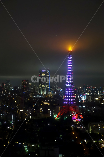 도쿄타워,도쿄,japan,일본,tokyotower,tokyo,건물,탑,야경,야경,밤,풍경,nightscape,night,landscape,도시,city,해외,외국,세계,foreign,oversea,world,세계도시풍경,해외도시풍경,외국도시풍경,world cityscape,outdoors,옥외,nature,자연,steeple,뾰족한 탑,architecture,건축물,building,spire,첨탑,tower
