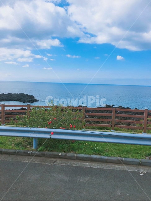 바닷길,해변,꽃,빨간꽃,감성,청량한,제주도,바다