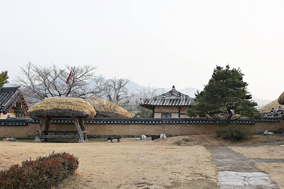 하회마을,초가집,초가,전통집,집,민속집,건물,자연,풍경,안동,한국전통,한국문화,korean traditional,korean culture