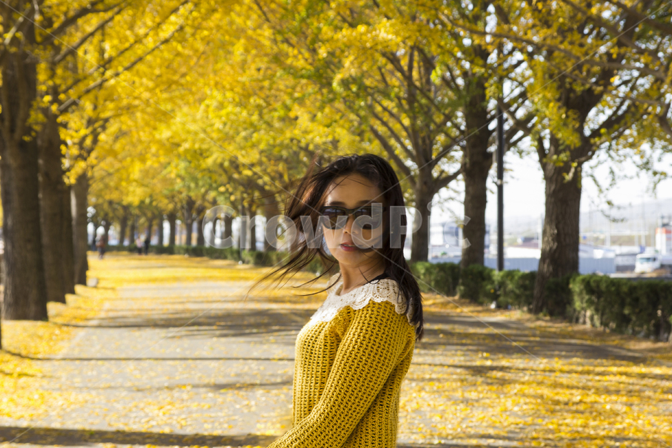 가을,여자,여인,은행나무,은행나무길,러브,하늘,선글라스,노랑,lady,women,감성사진,여행,나무,힐링,공원,park,소녀,계절,season,사람,people,모델,가을,계절,fall,autumn,season,사람,인물,인간,human,person,여성,여자,woman,female,lady,sleeve,소매,long sleeve,긴팔,sunglasses,색안경
